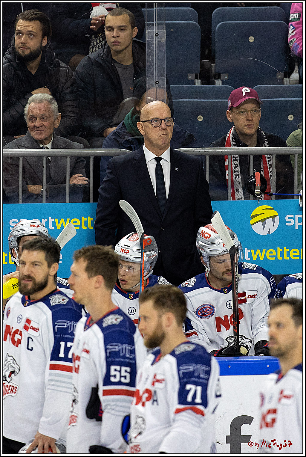 PENNY DEL;  Kölner Haie - Nuernberger Ice Tigers; Köln, 18.11.2022
